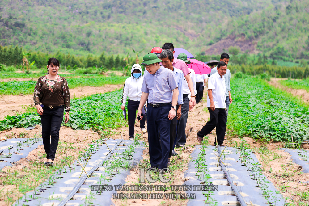 Sự kiện Quý II